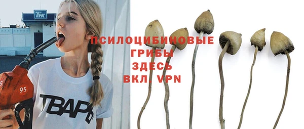молекула духа Инсар
