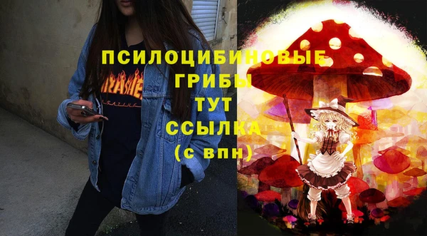 молекула духа Инсар