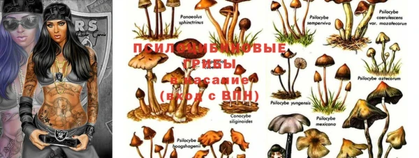 меф VHQ Инта